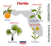 Florida. Set Of Usa Official...