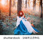 Small photo of cute Bavarian beauty under tree in morning light forest with basket of apples, holds red fruits in her hands, pretty girl with orange hair and snub nose and pink tender skin, sweet princess resting