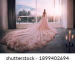 Artistic processing Fantasy girl princess in pink dress stands in medieval room looking vintage window with winter nature landscape mountains sunset. silhouette woman queen long train skirt. Back view