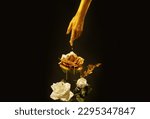 Small photo of Fantasy art photo closeup female hand covered with gold paint skin touches white rose liquid gold dripping on petals. Goddess woman strokes flower with finger. Hand of Midas touch gilded. Black studio