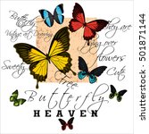 butterfly with text vintage... | Shutterstock . vector #501871144