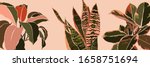 art collage houseplant leaves... | Shutterstock .eps vector #1658751694