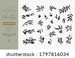 a set of silhouettes of olive... | Shutterstock .eps vector #1797816034