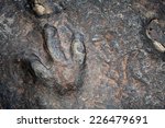 Dinosaur Footprints In Kalasin ...