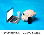 Anatomical copy of a human brain with googly yes working on a miniature laptop isolated on blue background. Creative office job related concept.