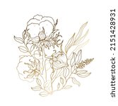 cotton flower. bouquet of... | Shutterstock .eps vector #2151428931