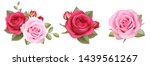 set of decorative pink roses... | Shutterstock .eps vector #1439561267