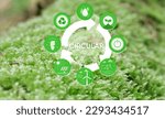 Small photo of Circular economy icon. The concept of eternity, endless and unlimited, circular economy for future growth of business and environment sustainable on green nature background