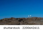 Image with pair of seagulls on rocks against blue morning sky totally clear.