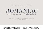 vintage and classic typography... | Shutterstock .eps vector #1612933027