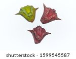 Small photo of Three water caltrop or water chestnut fruit on white background.