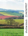 Small photo of Fields and Meadows over English Village, Berry Pomeroy, Devon, England, Europe