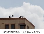 Small photo of 06/05/19 Southsea, Portsmouth, Hampshire, UK police snipers on the roof overlooking dignitaries during the d day 75 commerations in Portsmouth