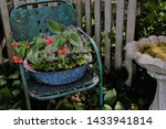 Green Metal Chair With Garden...