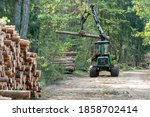 Loading logs on a truck trailer using a tractor loader with a grab crane. Transportation of coniferous logs to the sawmill. Deforestation and exploitation of nature. felling trees