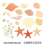 Set Of Shells. Summer Concept...