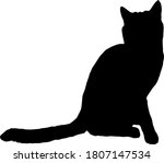 elegant black cat silhouette... | Shutterstock .eps vector #1807147534