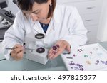 Small photo of The Gemologist expertise in her laboratory fix the value of precious stones and pearls; using optical fibers, Hydrostatic Balance, Polariscope, Refractometer, Dichroscope. / The Gemologist expertise