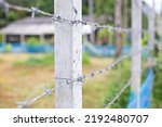 Barbed Wire Fence Posts Image...