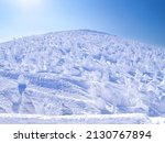 Mountain covered with ice monsters (soft rime). (Zao-onsen ski resort, Yamagata, Japan)