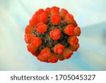 Small photo of Plastic model of the Covid-19 virus. Glycoprotein spikes. Uneven protein coating. Omicron.