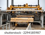 Small photo of Sawmill. Process of machining logs in equipment sawmill machine saw saws the tree trunk on the plank boards. Wood sawdust work sawing timber wood wooden woodworking