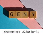 Gen Y, words in wooden alphabet letters isolated on pink, purple and blue background as banner headline