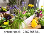 Small photo of Spring decoration of a home balcony or terrace with flowers, transplanting flowers from temporary pots to permanent ones, home gardening and hobbies, biophilic design