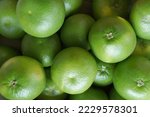 Citrus Sweetie in the market. Background or food texture of green citrus fruits.                              