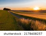 Sunset over the rolling hills of south Limburg in the Netherlands with a spectacular view over the agricultural fields, full of wheat and some amazing beams from the sun during golden hour.