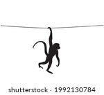 monkey silhouette hanging on... | Shutterstock .eps vector #1992130784
