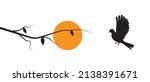 flying bird silhouette on... | Shutterstock .eps vector #2138391671