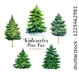 Image Watercolor Forest Pine...