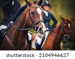 Small photo of Portrait of a beautiful Bay horse with a rider sitting in the saddle, and in the background there is another horse saddled by a rider. Friends. Horseback riding. Equestrian sport.