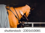 Small photo of The female rider embracing bay race horse neck at an equestrian event evokes a deep bond and partnership between rider and steed. Sportsmanship, trust, and the love of animals.