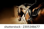 Small photo of A rider is sitting on a beautiful bay racehorse in the saddle. Equestrian sports and horse riding. The ability to ride a horse.