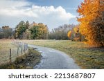 Country Road In Autumn In A...