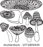 Mushroom Doodles Vector For...