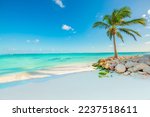 Playa Blanca, Punta Cana, Dominican Republic, Tropical Beach