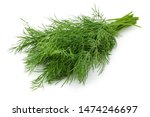 Bunch of fresh green dill isolated on white background