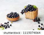 Freshly picked blackcurrants. Blackcurrants in a bowl and beside a small wicker basket of fresh blackcurrants. 
