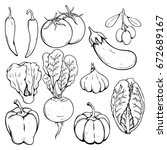 doodle or hand drawn vegetables ... | Shutterstock .eps vector #672689167