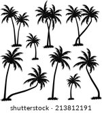 Palm Trees Vector 