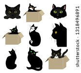 black cats isolated  cat in box ... | Shutterstock .eps vector #1318496891