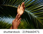 Hands skin care. Photo of African female hands with manicure against palm leaf's background. Natural beauty product concept