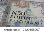 Small photo of Closeup of old historical somali shilling banknote (focus on center)