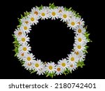 White wreath of daisies...