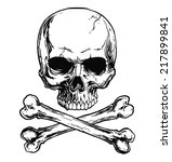 Real Skull And Crossed Bones Free Stock Photo - Public Domain Pictures