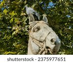 Small photo of Part of the equestrian monument. Greek commander Constantinos I . Pigeon sitting on top of horse head statue. Against tree branches as background. 10. 14. 2023. Thessaloniki, Greece.