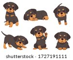 The Collection Of Rottweiler In ...